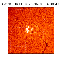 gong - 2025-06-28T04:00:42