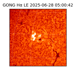gong - 2025-06-28T05:00:42