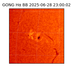 gong - 2025-06-28T23:00:02