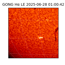 gong - 2025-06-28T01:00:42
