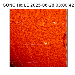 gong - 2025-06-28T03:00:42