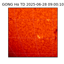 gong - 2025-06-28T09:00:10