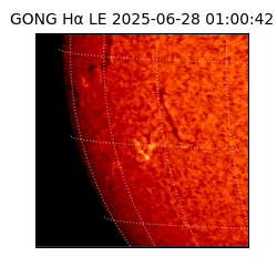 gong - 2025-06-28T01:00:42