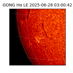 gong - 2025-06-28T03:00:42