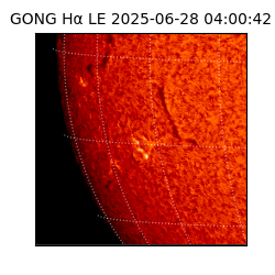 gong - 2025-06-28T04:00:42