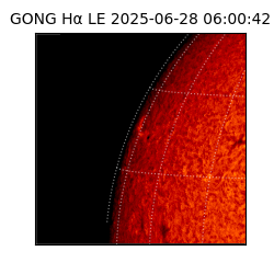 gong - 2025-06-28T06:00:42