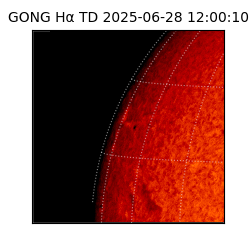 gong - 2025-06-28T12:00:10
