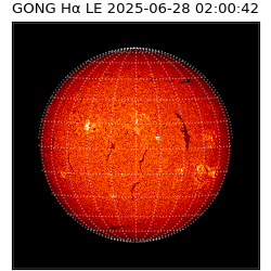 gong - 2025-06-28T02:00:42