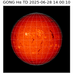 gong - 2025-06-28T14:00:10