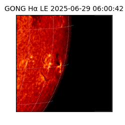 gong - 2025-06-29T06:00:42