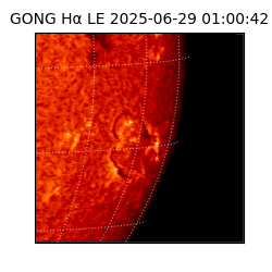 gong - 2025-06-29T01:00:42
