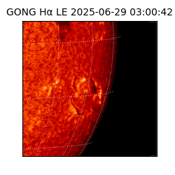gong - 2025-06-29T03:00:42
