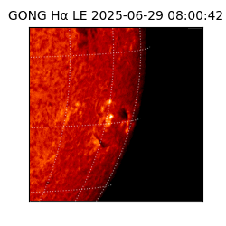 gong - 2025-06-29T08:00:42