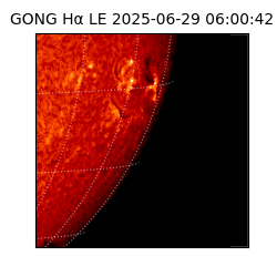 gong - 2025-06-29T06:00:42