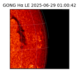 gong - 2025-06-29T01:00:42