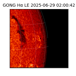 gong - 2025-06-29T02:00:42