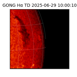 gong - 2025-06-29T10:00:10