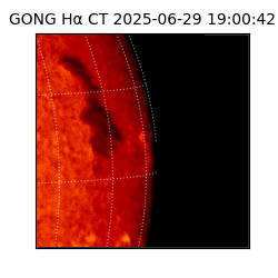 gong - 2025-06-29T19:00:42