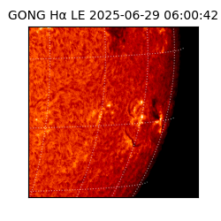 gong - 2025-06-29T06:00:42