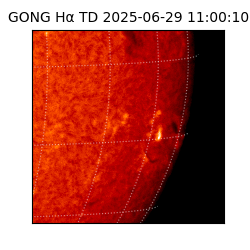 gong - 2025-06-29T11:00:10