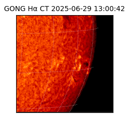 gong - 2025-06-29T13:00:42