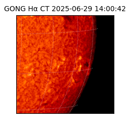 gong - 2025-06-29T14:00:42