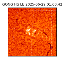 gong - 2025-06-29T01:00:42