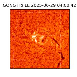gong - 2025-06-29T04:00:42