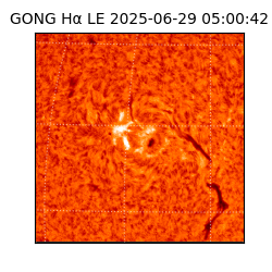 gong - 2025-06-29T05:00:42