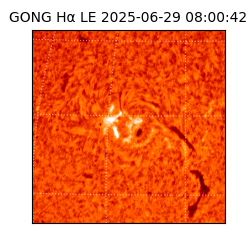 gong - 2025-06-29T08:00:42