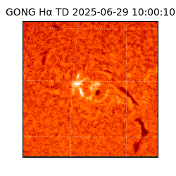 gong - 2025-06-29T10:00:10