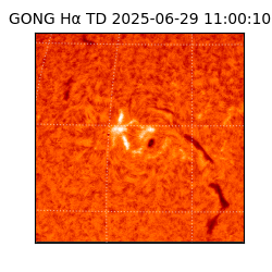 gong - 2025-06-29T11:00:10