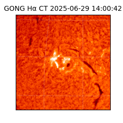 gong - 2025-06-29T14:00:42