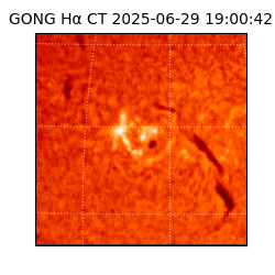 gong - 2025-06-29T19:00:42