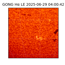 gong - 2025-06-29T04:00:42
