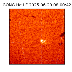 gong - 2025-06-29T08:00:42