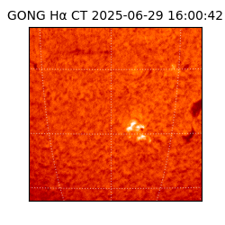 gong - 2025-06-29T16:00:42