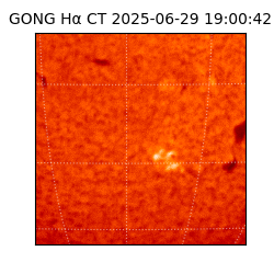 gong - 2025-06-29T19:00:42