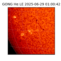 gong - 2025-06-29T01:00:42