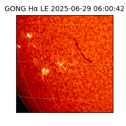 gong - 2025-06-29T06:00:42