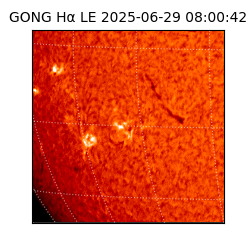 gong - 2025-06-29T08:00:42