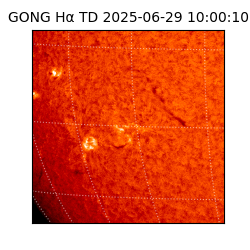 gong - 2025-06-29T10:00:10