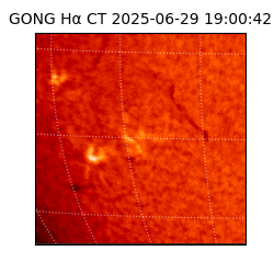 gong - 2025-06-29T19:00:42