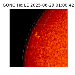 gong - 2025-06-29T01:00:42