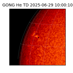 gong - 2025-06-29T10:00:10