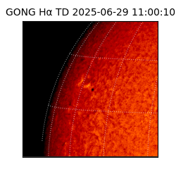 gong - 2025-06-29T11:00:10