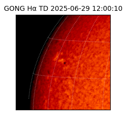 gong - 2025-06-29T12:00:10
