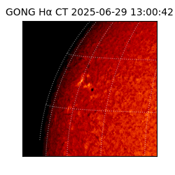 gong - 2025-06-29T13:00:42