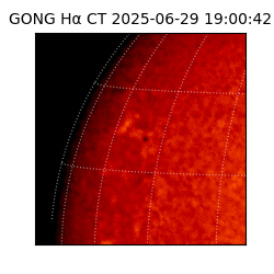 gong - 2025-06-29T19:00:42