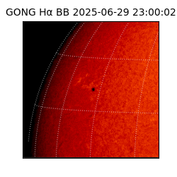 gong - 2025-06-29T23:00:02
